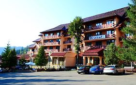 Hotel Bradul